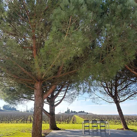 Clos Des Jacobins Nocleg ze śniadaniem Saint-Émilion